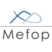 Mefop SPA, Roma orari di apertura