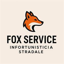 Fox Service di Mario Volpe, Napoli orari di apertura