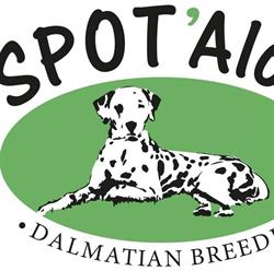 Spot'Alot, Castelnuovo Don Bosco orari di apertura