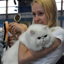 Grooming Space. Il Salotto del Cane e del Gatto, Torino orari di apertura