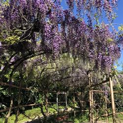 La Camilla Osnago - Cascina Vignola, orari di apertura