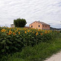 La Dolce Vita, Porto Recanati orari di apertura