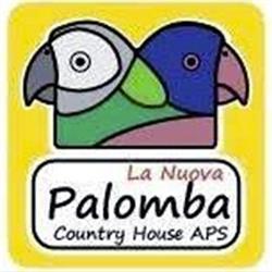 Ristorante La Nuova Palomba Country House, Collecorvino orari di apertura