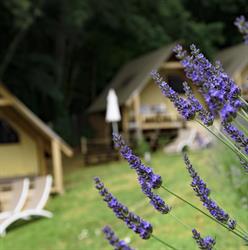 Glamping Pian delle Ginestre, Sassetta orari di apertura
