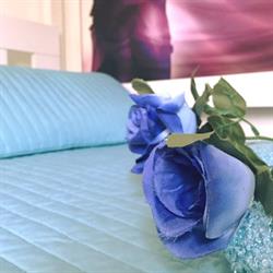 Blu House B&B, Sutri orari di apertura