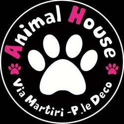 Animal House, Ariano Irpino orari di apertura