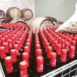CANTINE CASTALDO TUCCILLO, San Gennaro Vesuviano orari di apertura