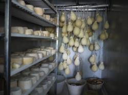 Caseificio Beatrice, Torre le Nocelle orari di apertura