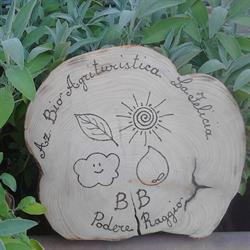 B&B Podere Raggio - Bio Agriturismo - Az.Agr. La Felicia, Rocca San Casciano orari di apertura