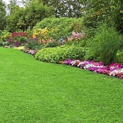 V.M. Giardini di Viero Mirko, Breganze orari di apertura