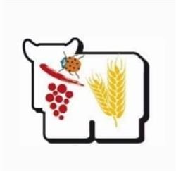 La bottega del sapore Cab Massari, Conselice orari di apertura