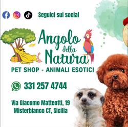 Angolo della Natura - Negozio per Animali, Misterbianco orari di apertura