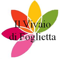 Il Vivaio Di Foglietta, Roma orari di apertura