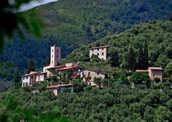 Peralta Tuscany, Camaiore orari di apertura