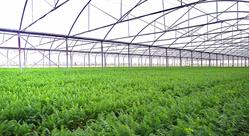 GreenItaly, Fiumicino orari di apertura
