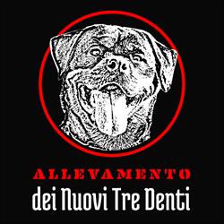 Rottweiler Dei Nuovi Tre Denti, Barge orari di apertura
