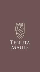 Tenuta Tarcisio Maule Srl S.A., Montebello Vicentino orari di apertura