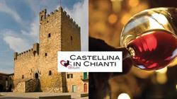 Amo Castellina, Castellina in Chianti orari di apertura