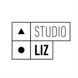 Studio Liz - Comunicazione Digitale e Produzione Video, Mogliano Veneto orari di apertura