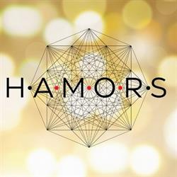 H.A.M.O.R.S. APS - Humana Accademia Multidisciplinare Olistica e di Ricerca Sperimentale, San Donà di Piave orari di apertura