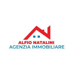 Agenzia Immobiliare Alfio Natalini, Porto Recanati orari di apertura