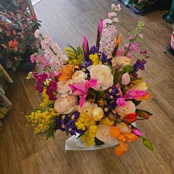 Cesena in Fiore, orari di apertura