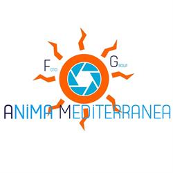 Foto Group Anima Mediterranea, Praia a Mare orari di apertura