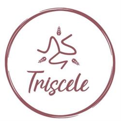 Triscele Ristorante, Alcamo orari di apertura