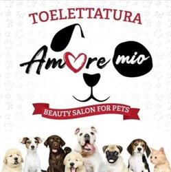 Toelettatura AmoreMio- Beauty Salon For Pets, Giulianova orari di apertura