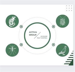 Activa Group, Montichiari orari di apertura