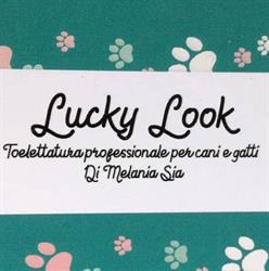 Lucky Look Toelettatura professionale per cani e gatti, Origgio orari di apertura