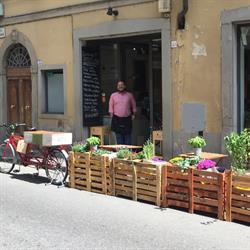 Tuscan Taste, Firenze orari di apertura