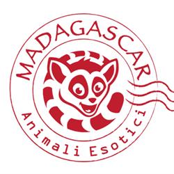 Madagascar animali esotici Roma, orari di apertura