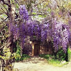 Locanda dei Melograni - Lungacque, Gossolengo orari di apertura