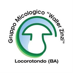A.M.B. - Gruppo Culturale Micologico Walter Zinzi - Locorotondo, orari di apertura