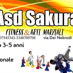 Asd Sakura Palestra- judo- cross training- Fitness, Palermo orari di apertura