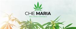 Che Maria Cannabis Legale, Palermo orari di apertura