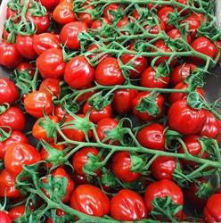 Hamada frutta e verdura Brescia, orari di apertura