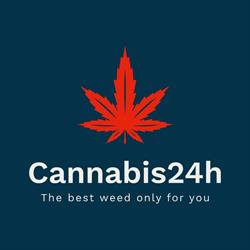 Cannabis24h, Mestre orari di apertura