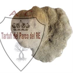 TARTUFI DEL PARCO DEL RE, Sant'Eusanio del Sangro orari di apertura