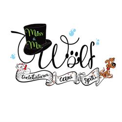 Miss & Mr Wolf Toelettatura, Verona orari di apertura