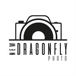 New Dragonfly Photo, Savignano sul Rubicone orari di apertura