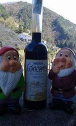 Liquorificio Tentazioni, Tramonti orari di apertura