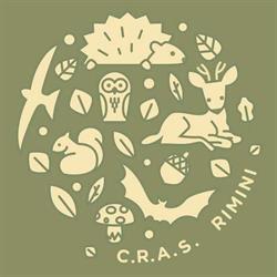 cras rimini, Rimini orari di apertura