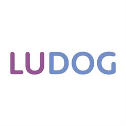 Ludog Collegno - Ludoteca Formativa per Cani, orari di apertura