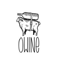 oWine, Roma orari di apertura