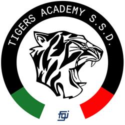 Tigers Academy SSD, Pianezza orari di apertura