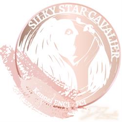 Silky Star Cavalier, Taranto orari di apertura
