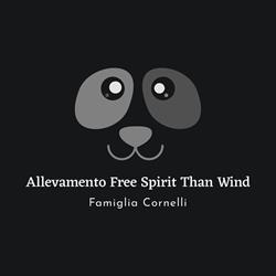 Allevamento Fox-Terrier a pelo liscio Famiglia Cornelli, Gossolengo orari di apertura
