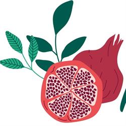 Frutteria Il Melograno, Roma orari di apertura